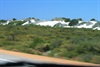 Check out the WHite Sand near the Pinnacles