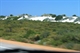 Check out the WHite Sand near the Pinnacles