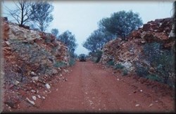 Along the Finke Track
