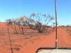 Burnt country just out from Warburton