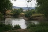 The view from the Awning Porch