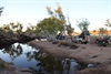 Early morning camp at Tjarra Pool