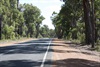 The Road to Darkan from Collie