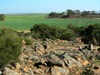 View from the top of Buntine Rocks