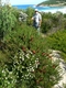 Exploring some of the walking tracks at Cape Arid