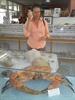 Look at the size of that crab
