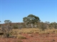 Batten Hill, NE Simpson Desert