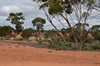 scenery near Fraser Range rest area