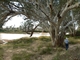 Cullyamurra Waterhole