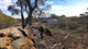 campsite at Tenindewa.