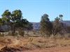 Along the Great Central Road
