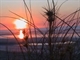 80 Mile Beach