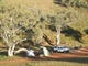 Our camp at Willow Springs
