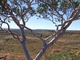 View along the Durba Hills
