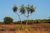 Point Stuart Coastal Reserve