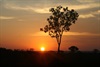 Labelle Downs Station Sunset