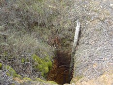 Gold Mine Shaft
