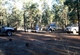 First camp - Rankin Springs State Forest