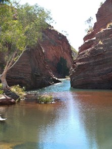 Hamersley Gorge