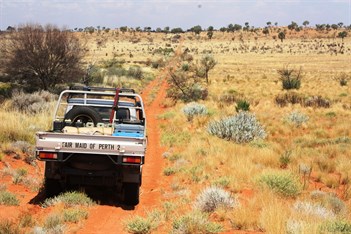Faid Maid of Perth 2