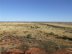 The Sandy Desert near Lake Auld