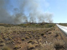 The fire raging besides the Ripon Hills Road