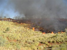 Flames stripping the Pilbara country bare