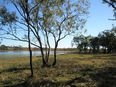 Leichhardt Lagoon near Normanton Qld