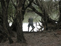 Checking the traps on the Norman River