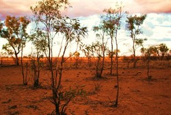 Sunrise at bush camp on the Mt Isa - Boulia road