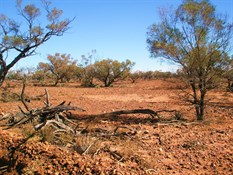 Bushcamping near Grey range