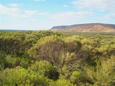 Gundabooka N Pk between Bourke and Cobar