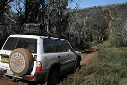 Heading for Mt Gibbo