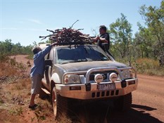 A blokes work is never done.  No you sit there girls. We'll be right!