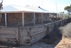 Koonalda station Nullarbor NP SA