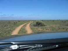 Old Coach Road Nullarbor NP SA