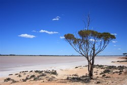 Lake Johnston Hyden Norseman Rd WA