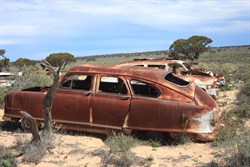 Ivy Tank Old Eyre Hwy SA