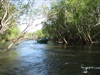 Finnis River