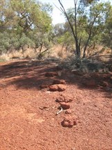 Lines of rocks at entrance to Patience Oasis