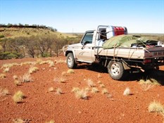 Hill next to shotline