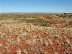 Gary Junction Road winding through the Terry Range