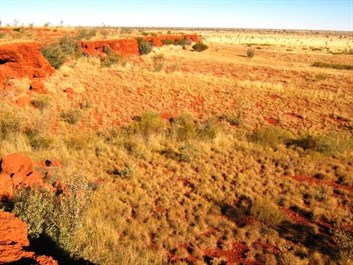 Wilson Cliffs