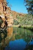 Pool at Desert Queens Baths