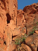 Too steep for me!!!