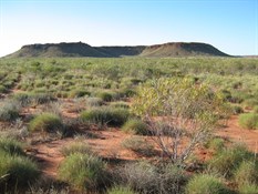 Bocrabee Hill