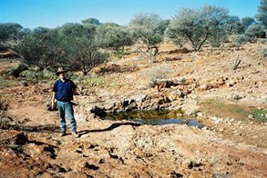 Alexander Spring