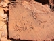 Petroglyphs at Ewaninga