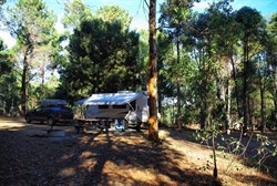 campsite in Shannon N Pk
