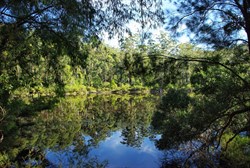 Shannon dam